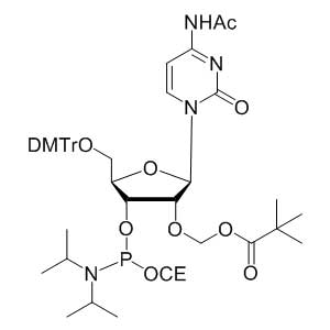 2'-O-PivOM-5'-O-DMT-Cytidine (N-Ac) 3'-CEP