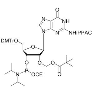 2'-O-PivOM-5'-O-DMT-Guanosine (N-ipr-PAC) 3'-CEP